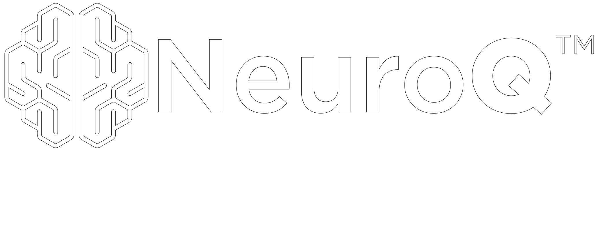 My NeuroQ Score